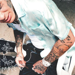 Cover of More Money More Ice