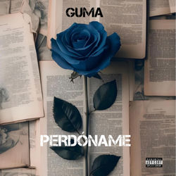 PERD&Oacute;NAME