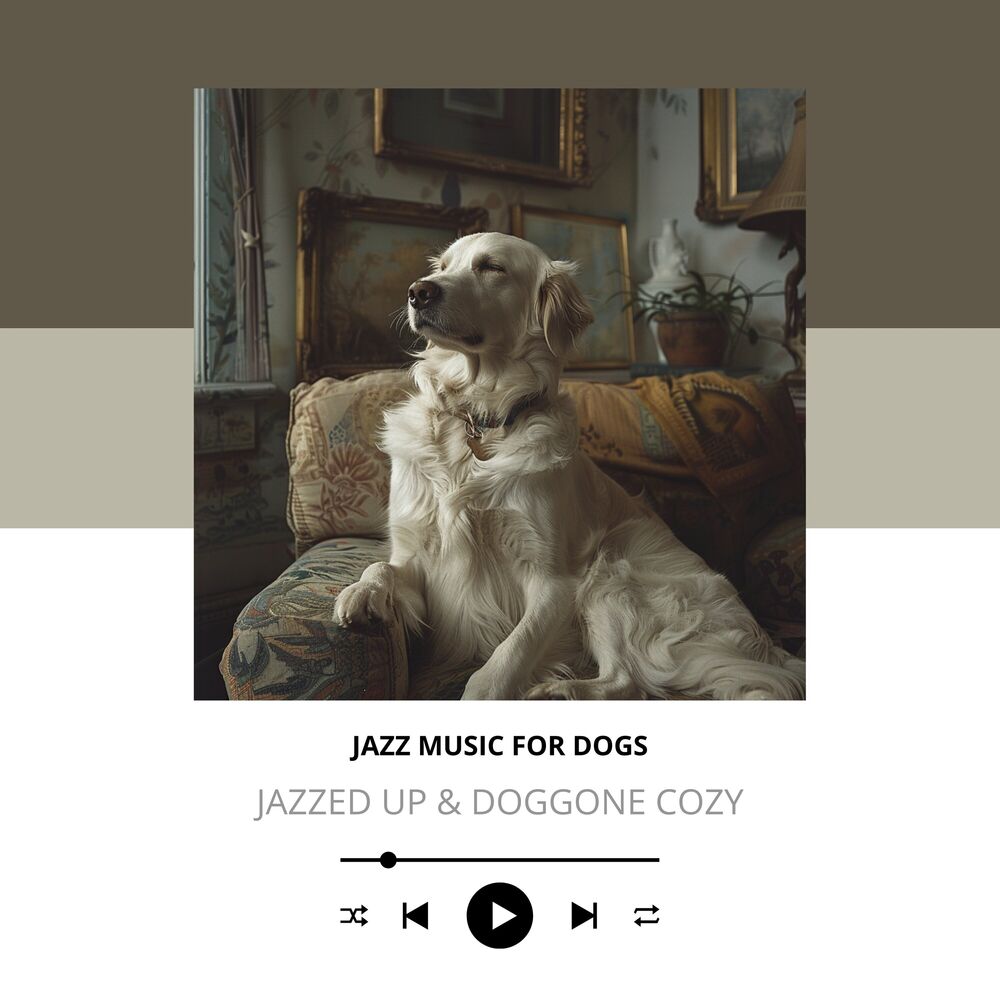 Picture of Jazzed Up & Doggone Cozy