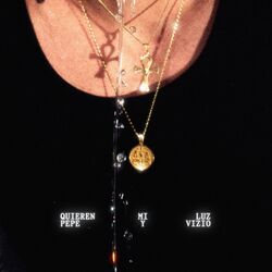 Cover of Quieren Mi Luz