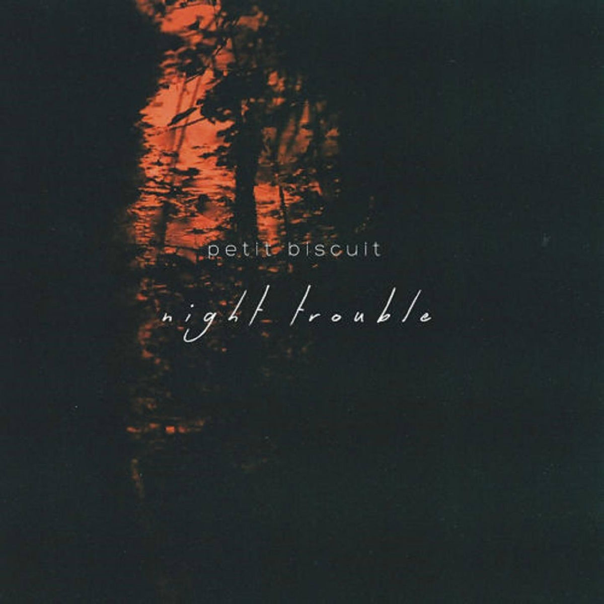 Album picture of Night Trouble