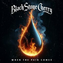 Cover of When The Pain Comes