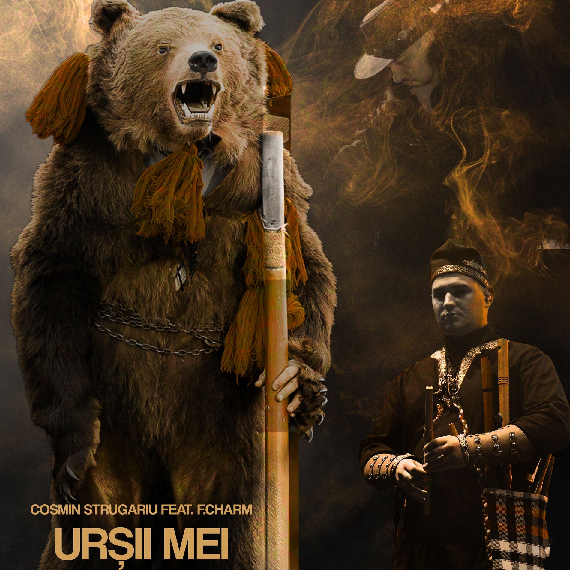 Album cover of Ursii mei