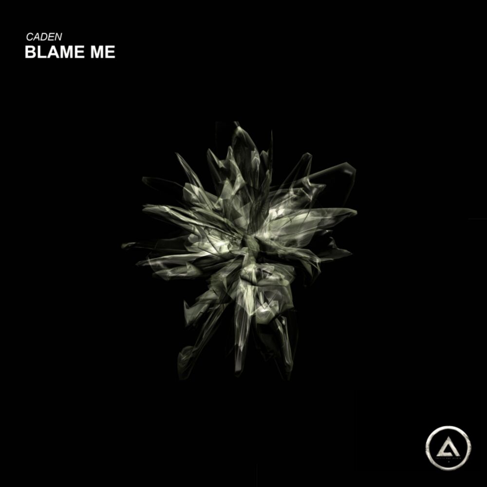 Picture of Blame Me
