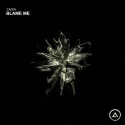 Cover of Blame Me