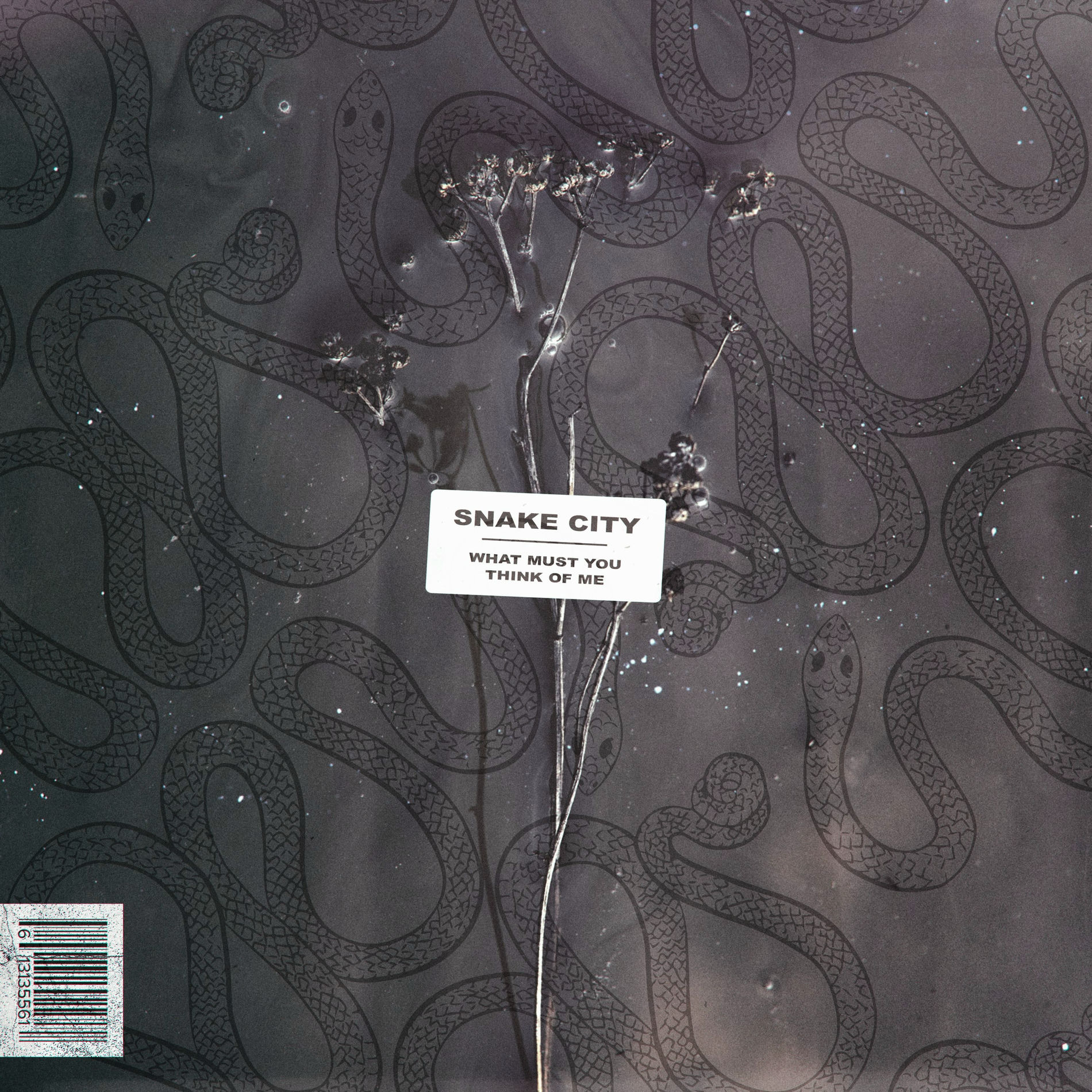 Album cover of What Must You Think Of Me?
