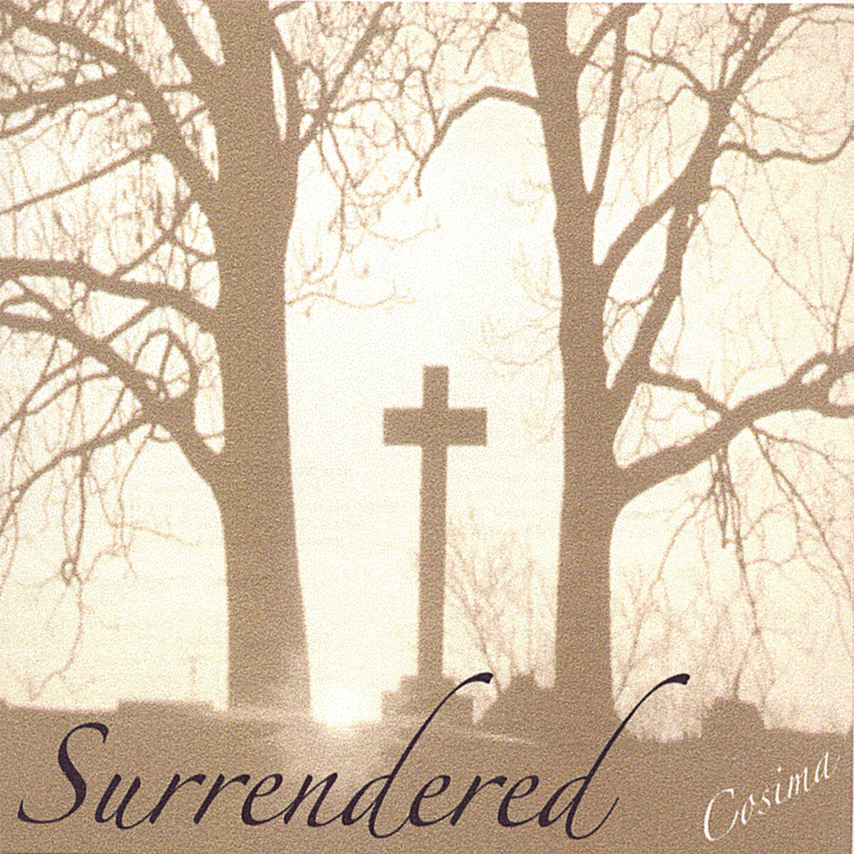 Album cover of Surrendered