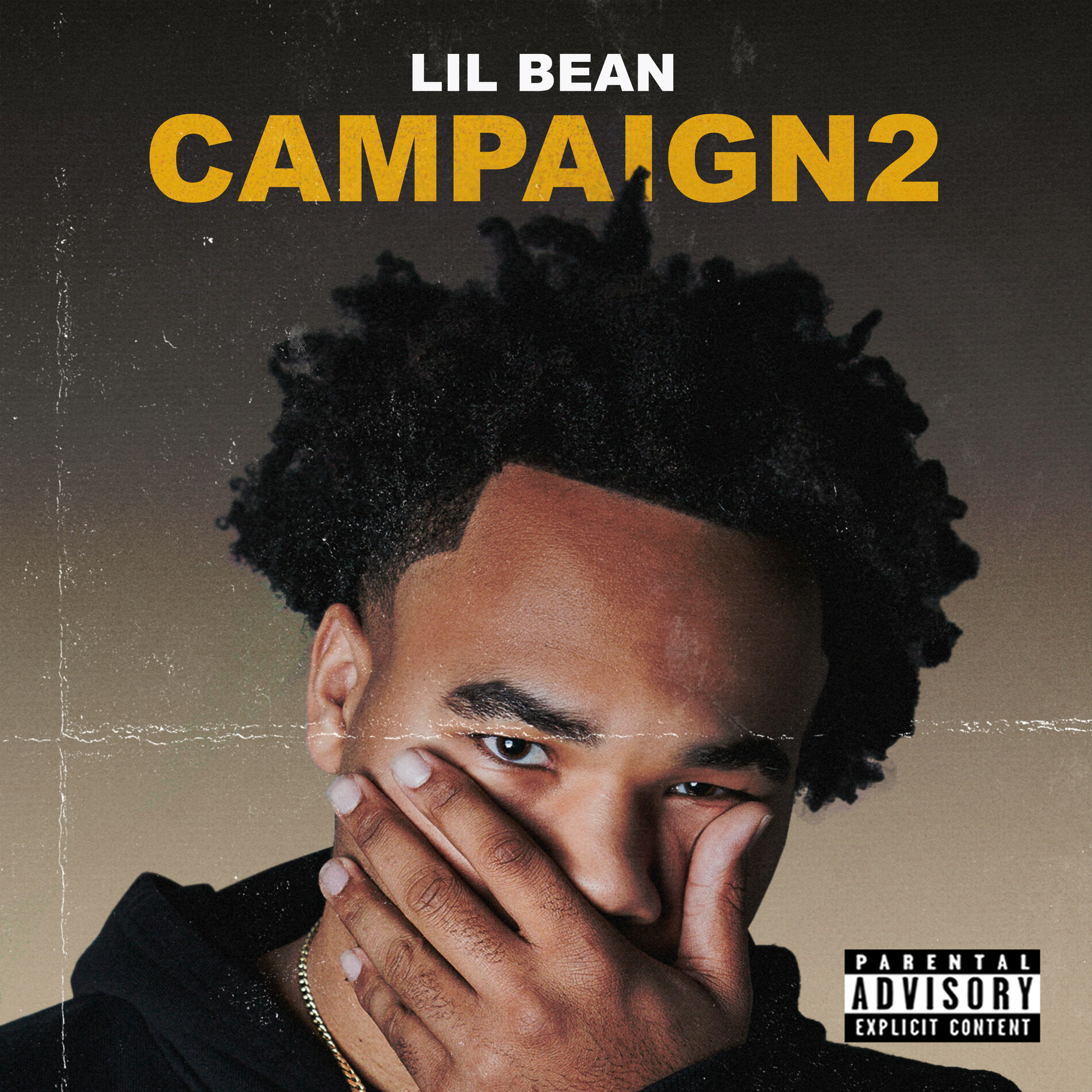 Album cover of Campaign 2