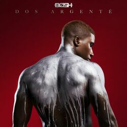 Cover of Dos argenté