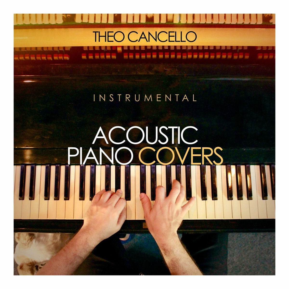 Album cover of A Última Música (Instrumental Piano)