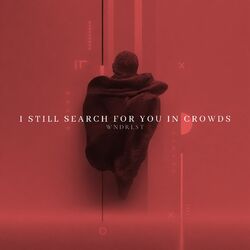 I Still Search For You In Crowds