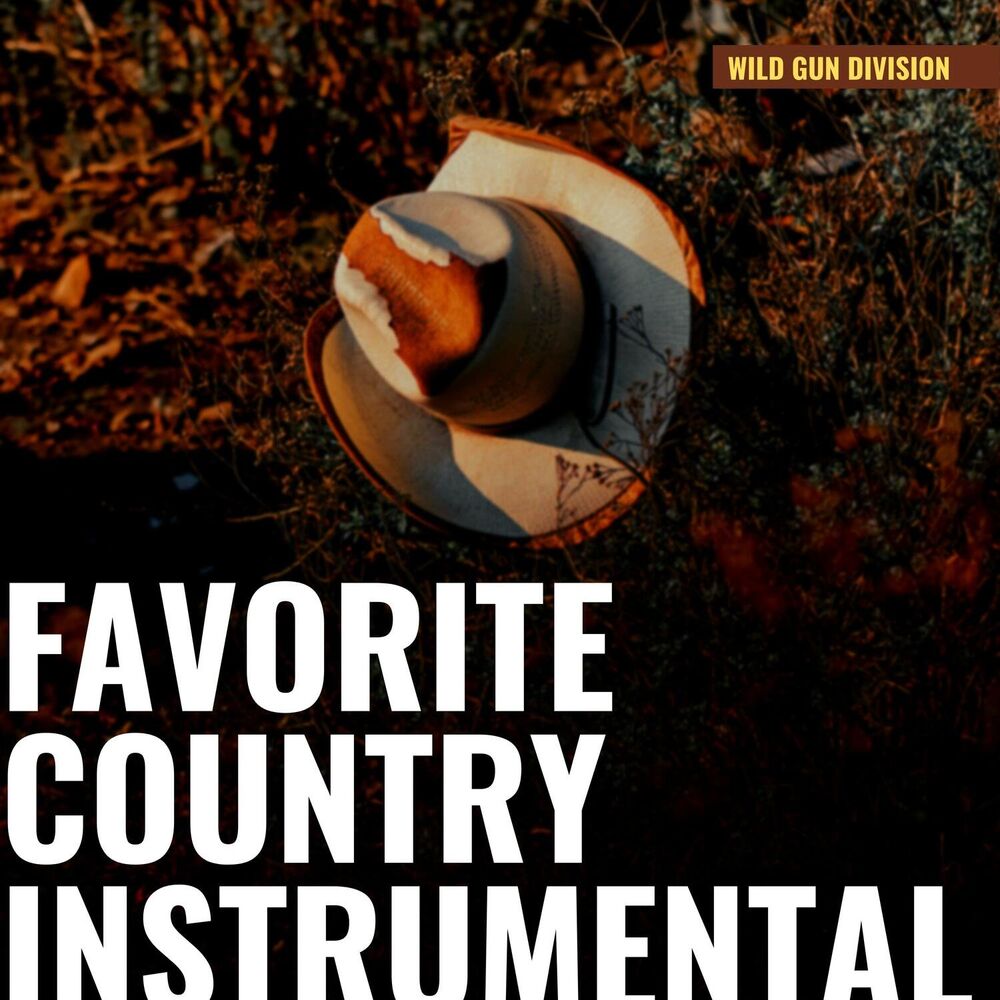 Picture of Favorite Country Instrumental