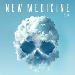 Cover of Skin