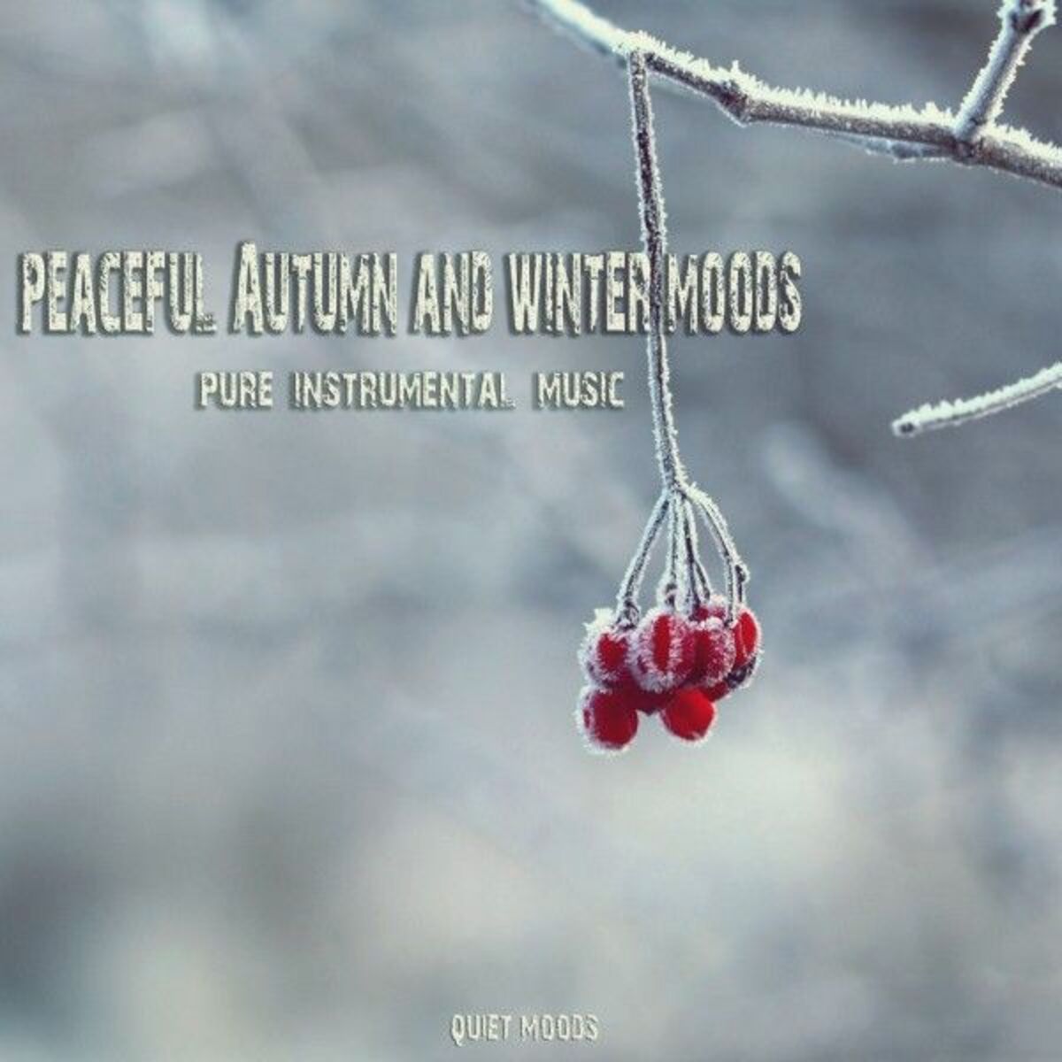 Album cover of Peaceful Autumn & Winter Moods (Pure Instrumental Music)