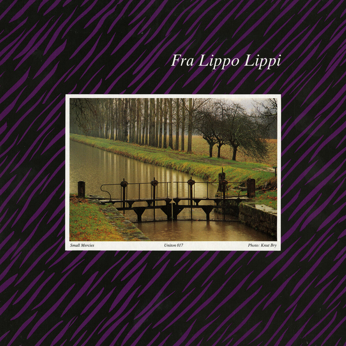 Album cover of The Treasure