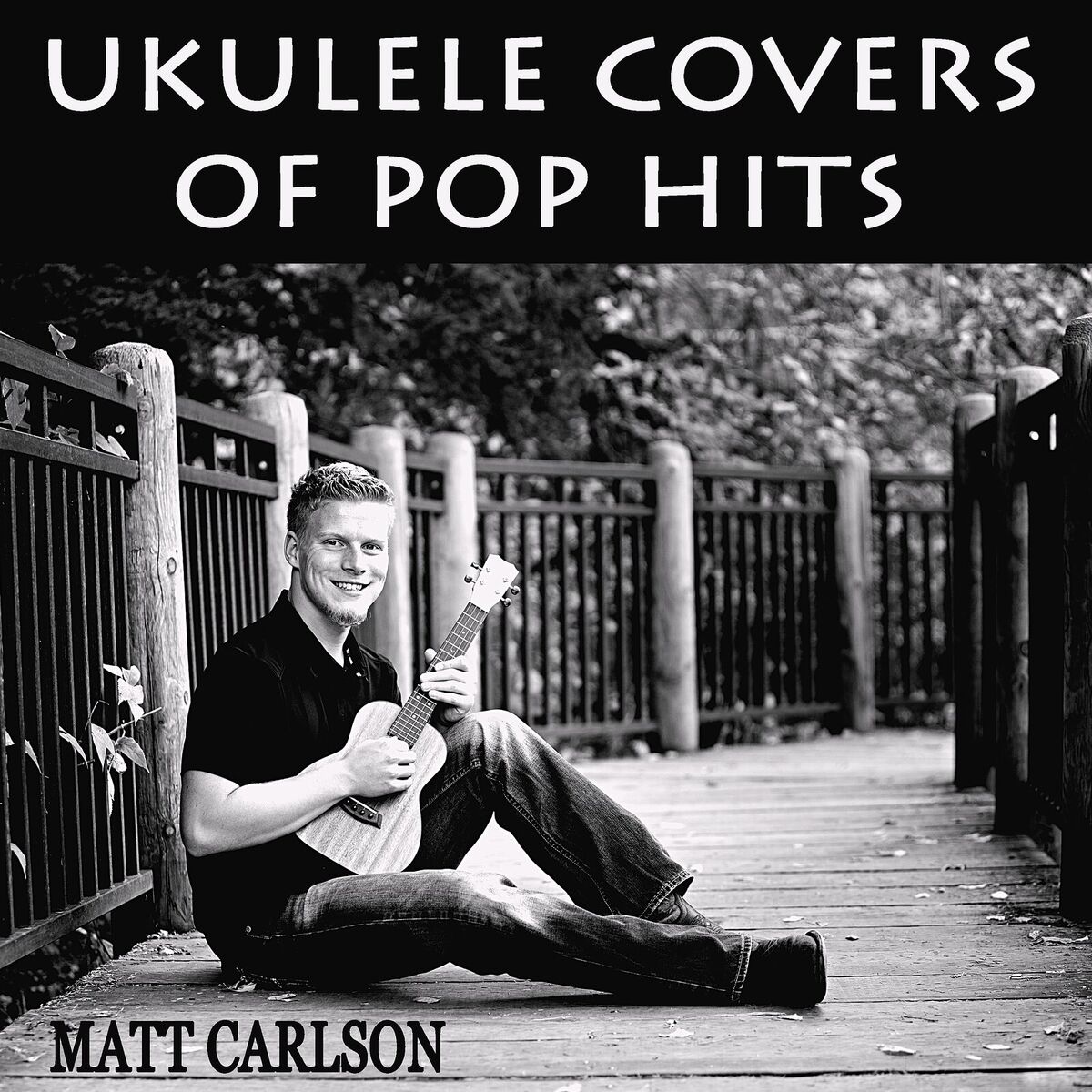 Album cover of Ukulele Covers of Pop Hits