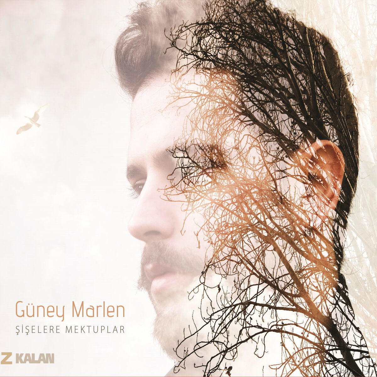 Album cover of Şarapçı Remzi