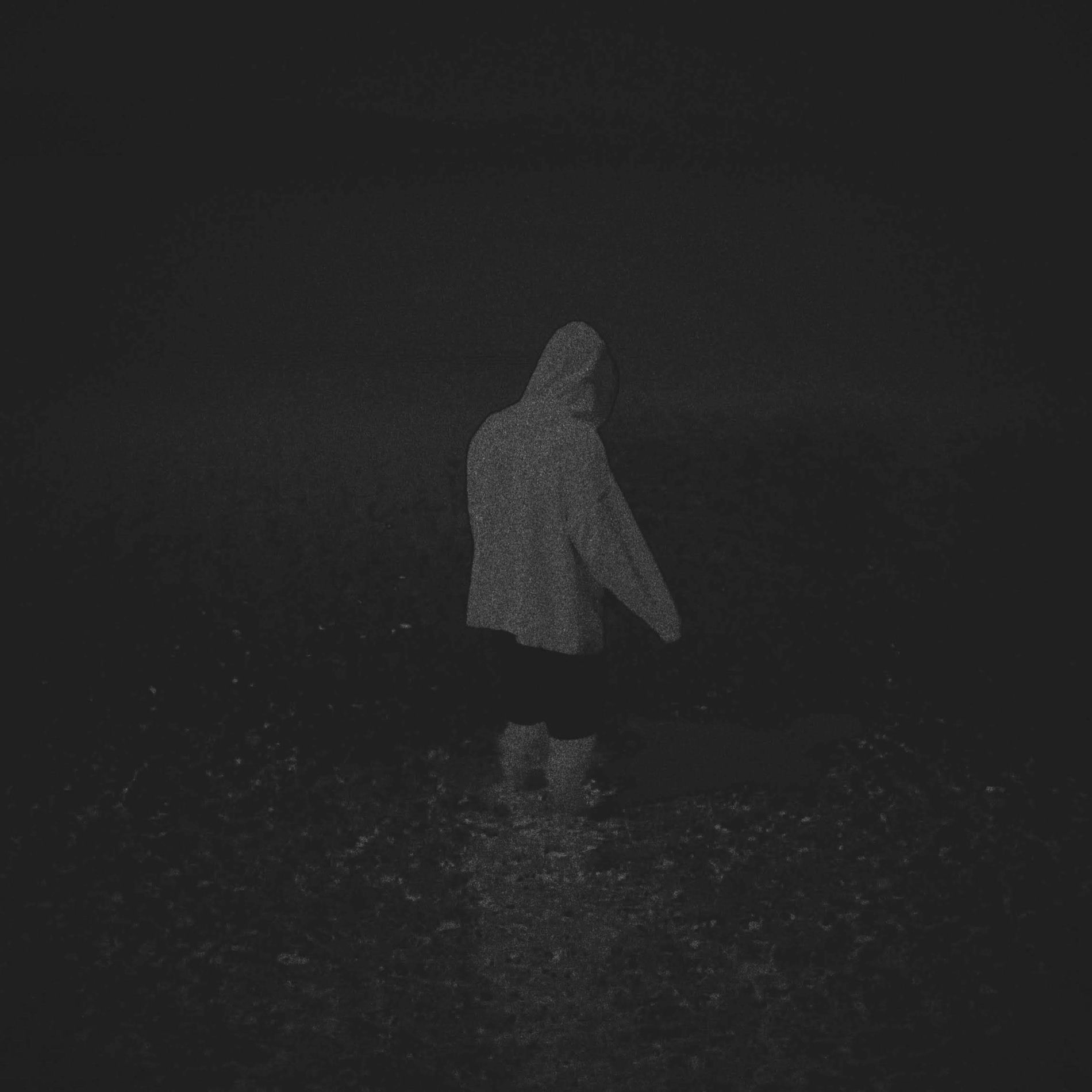 Album cover of fallen