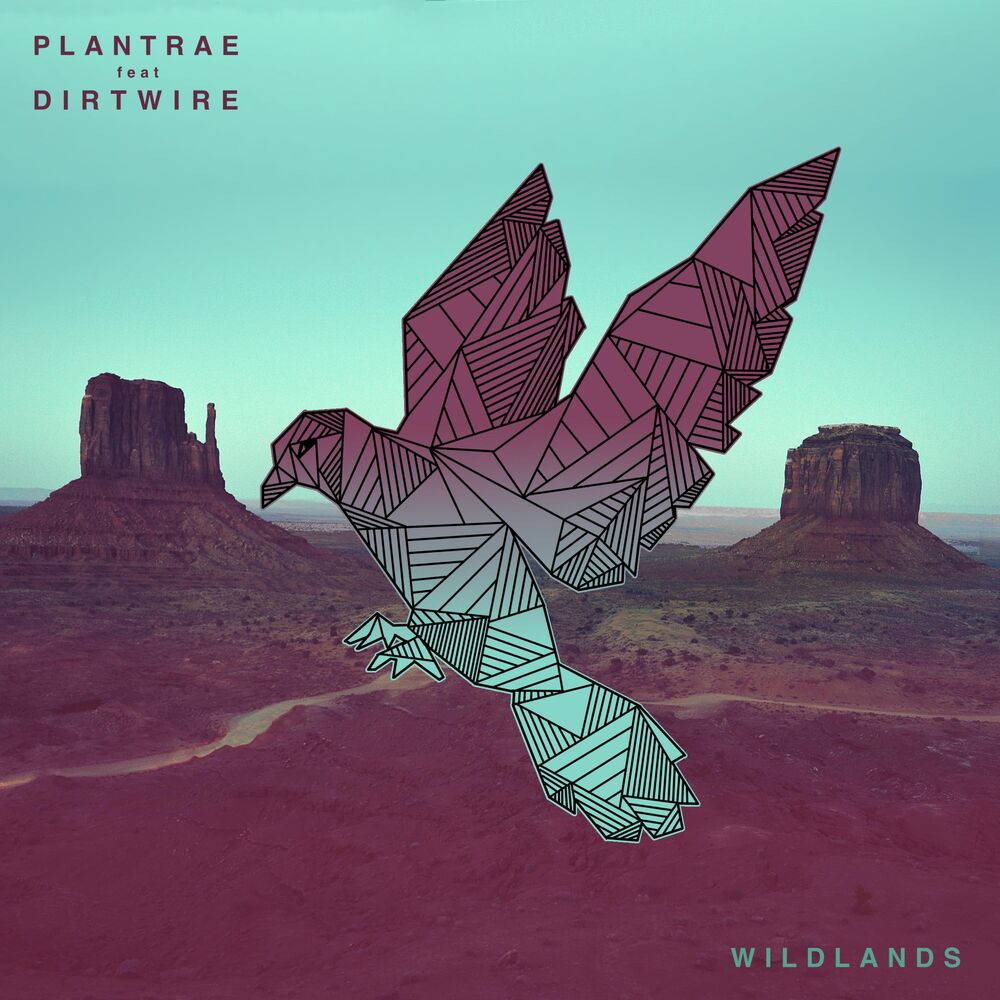 Picture of Wildlands (feat. Dirtwire)