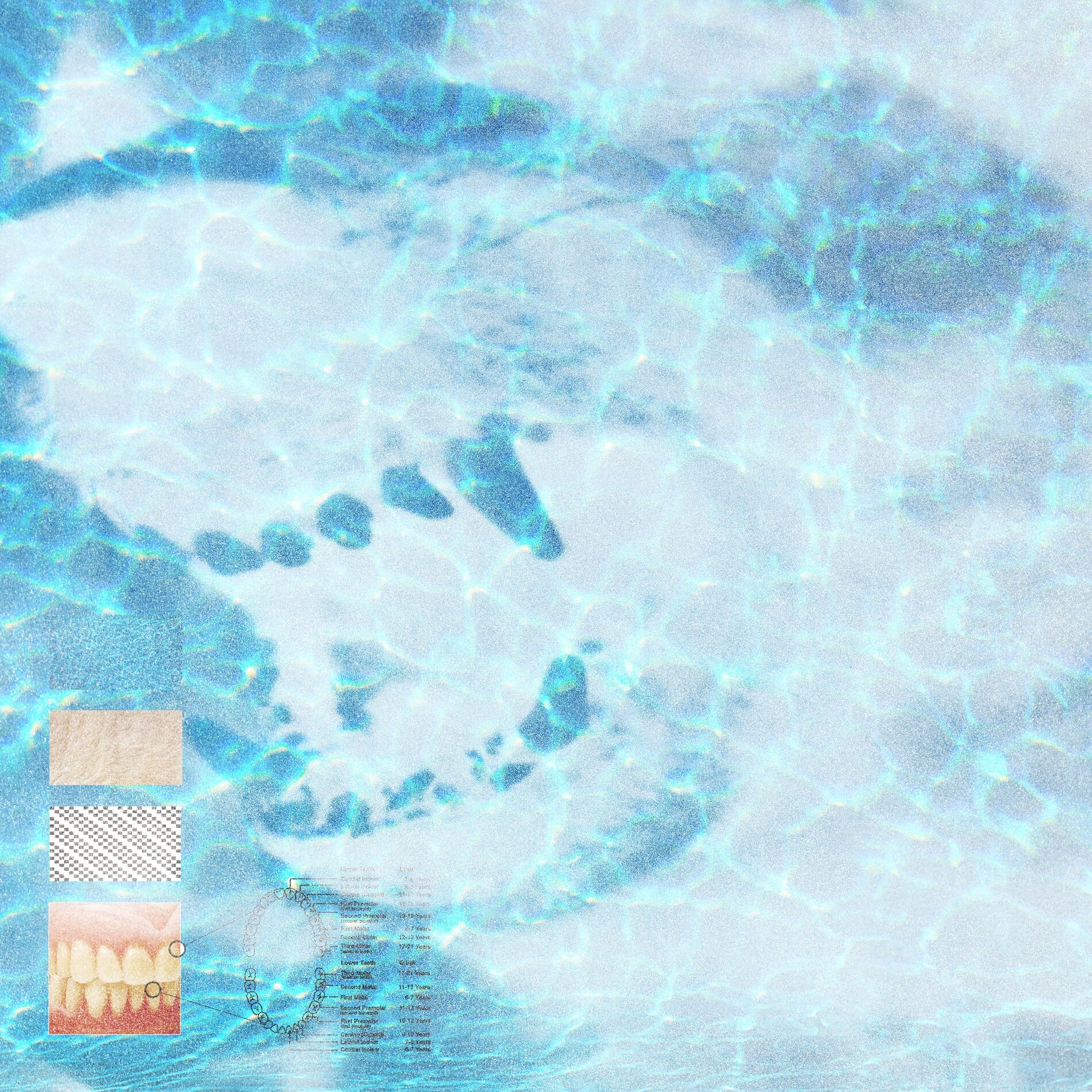 Album cover of Fangs