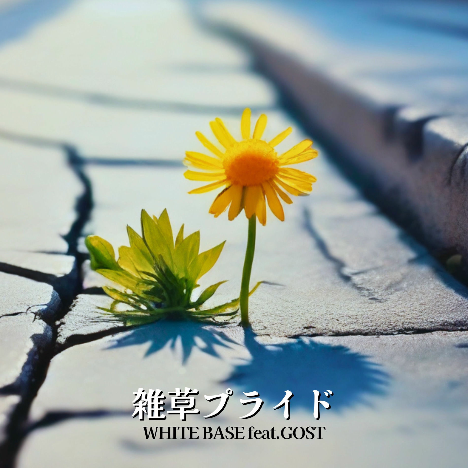 Album cover of ZASSOU PRIDE (feat. GOST)