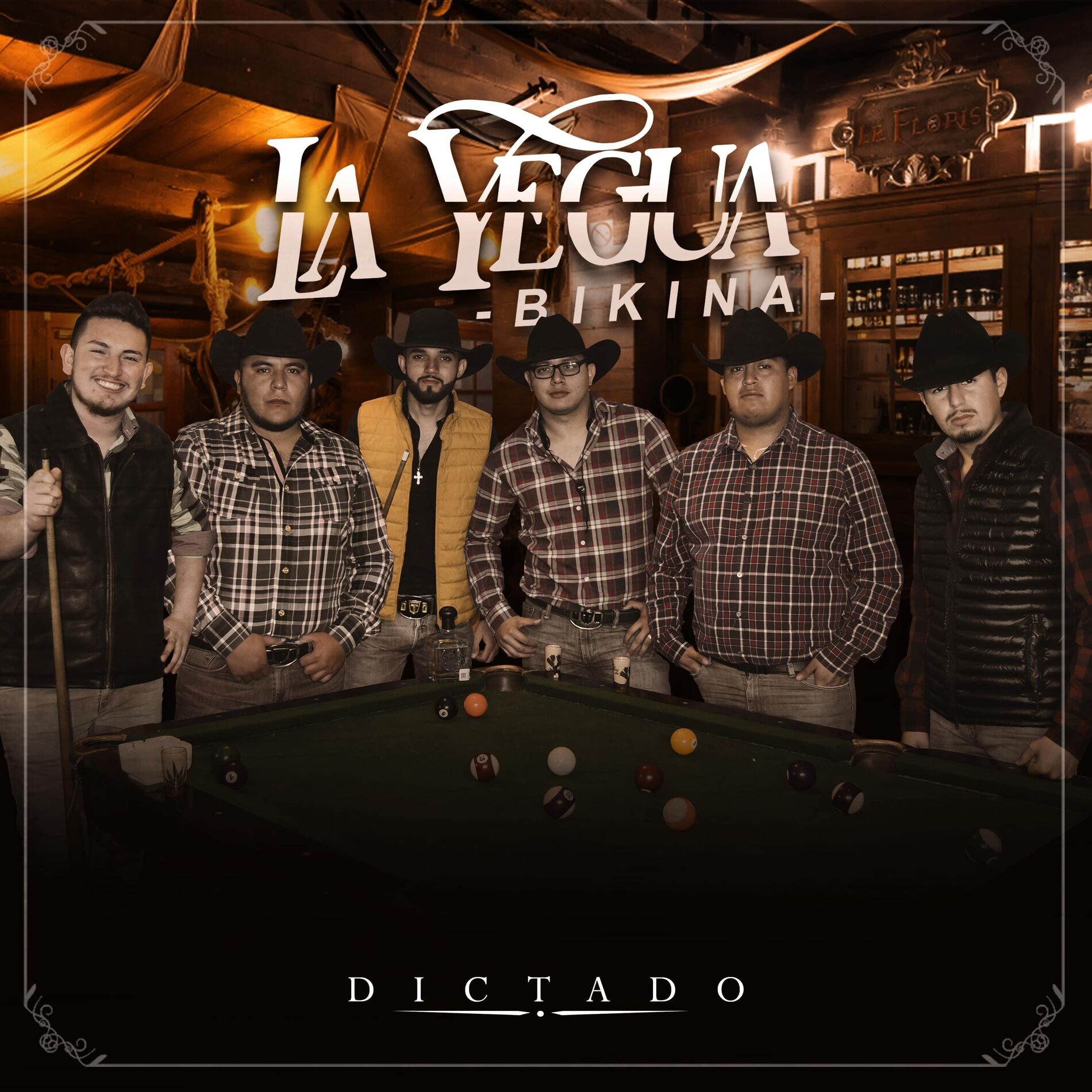 Album cover of La Yegua Bikina