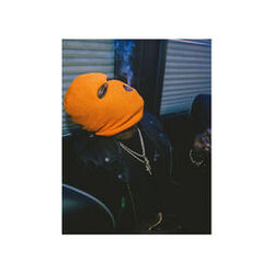 Cover of Rodman