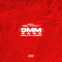 Cover of 9mm Gang