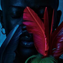 Cover of Les larmes