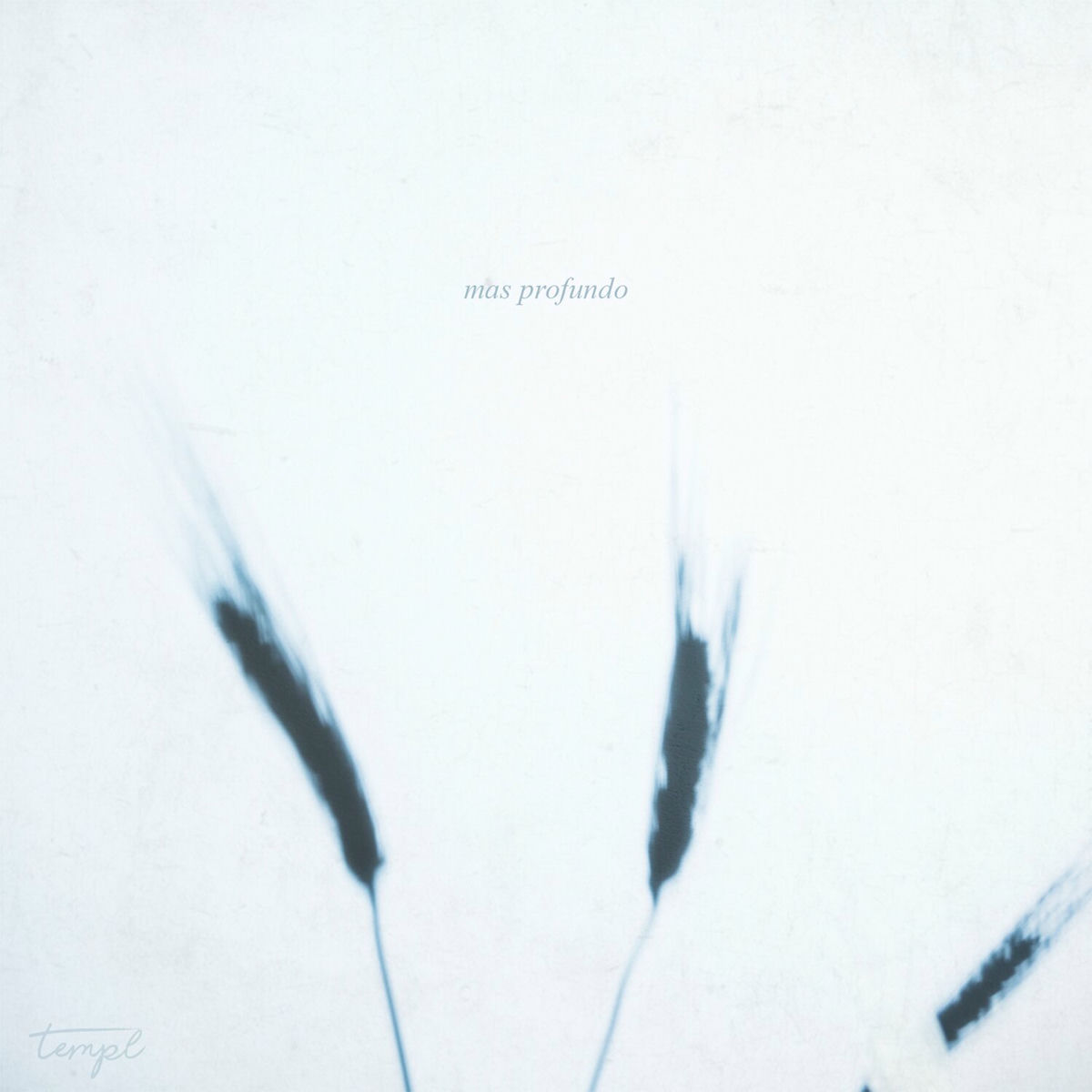 Album cover of Mas Profundo