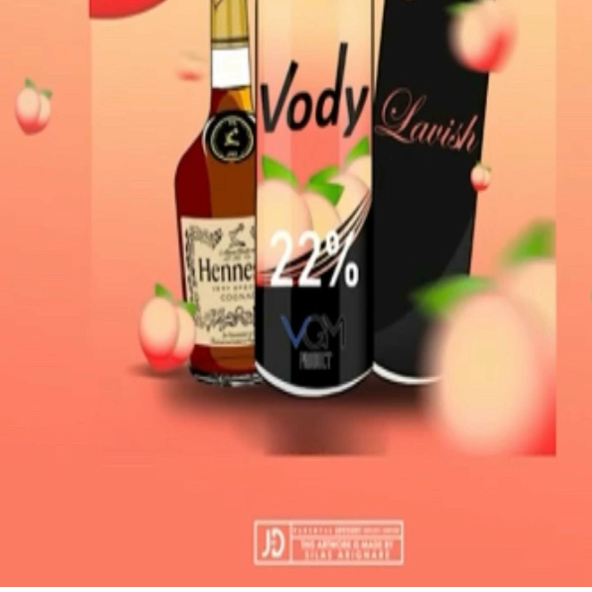 Album cover of VODY