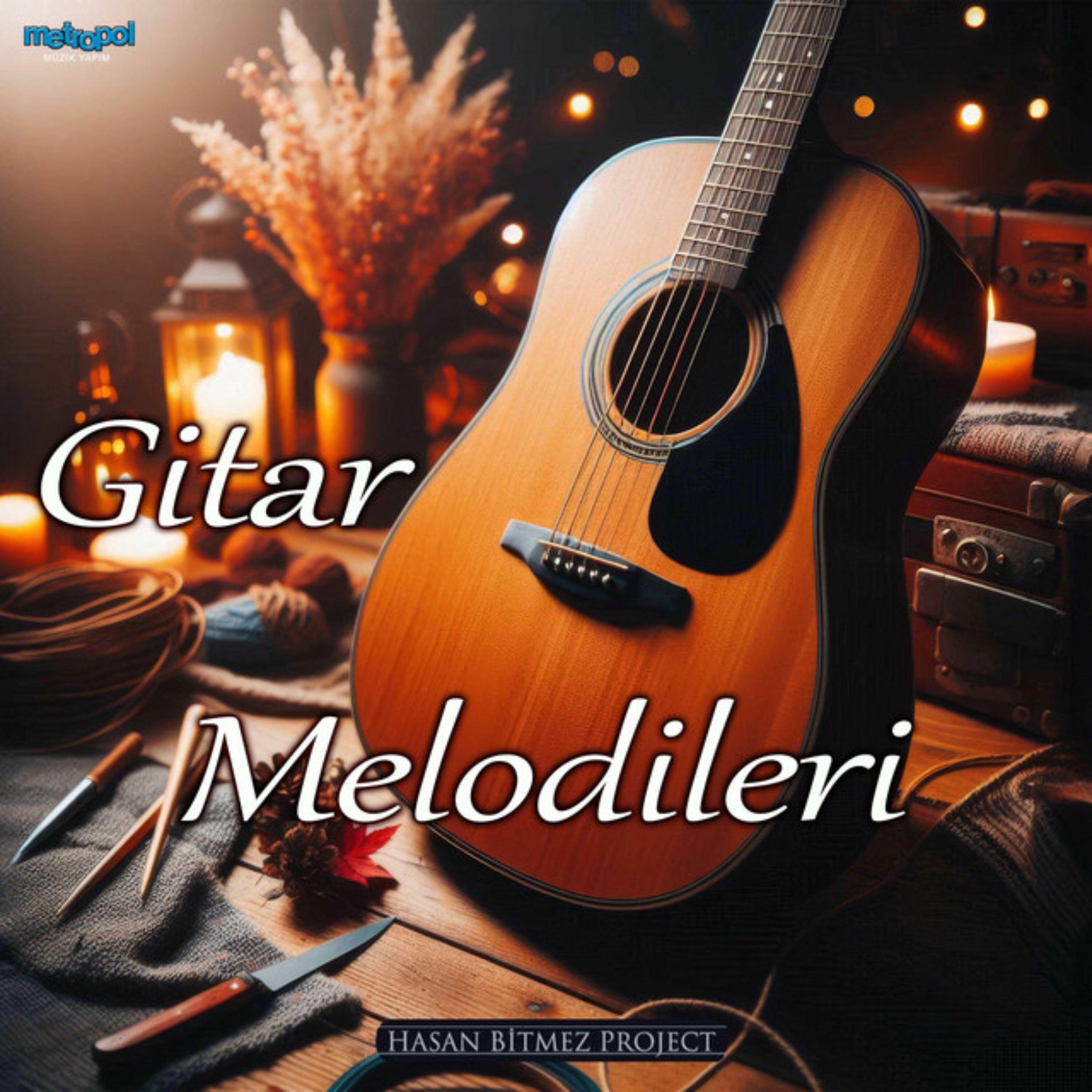 Album cover of Gitar Melodileri