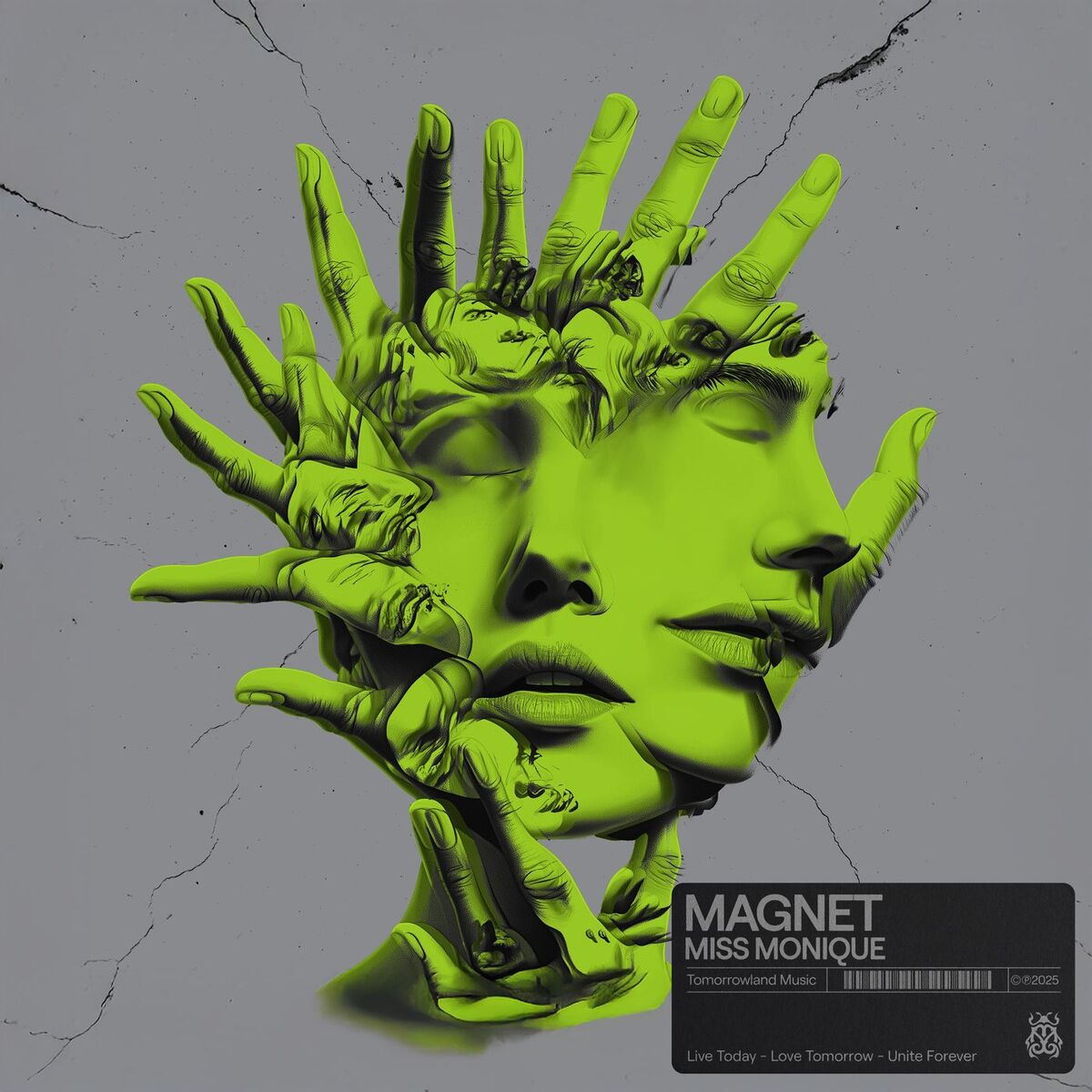 Album cover of Magnet