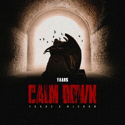 Cover of Calm Down