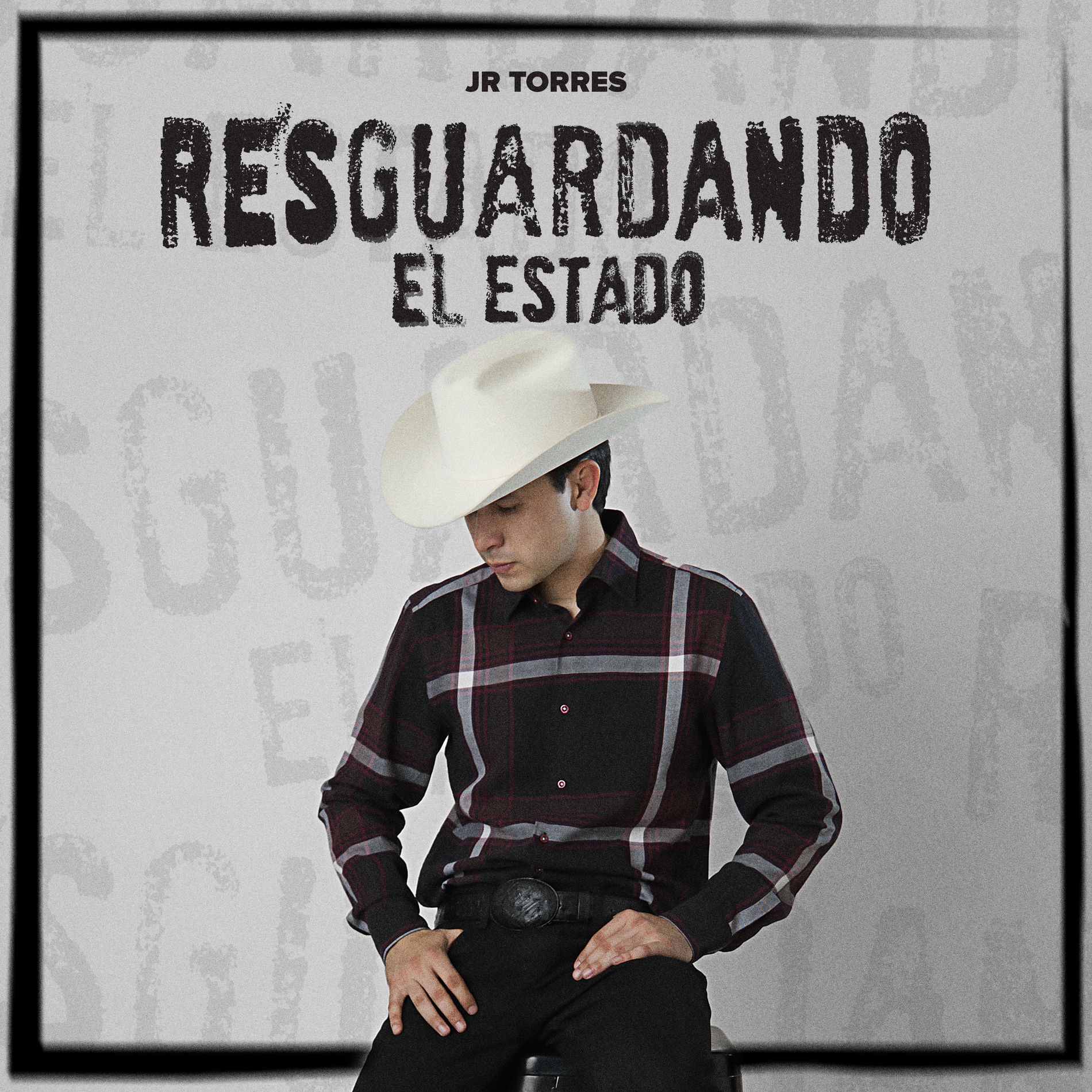 Album cover of Resguardando El Estado