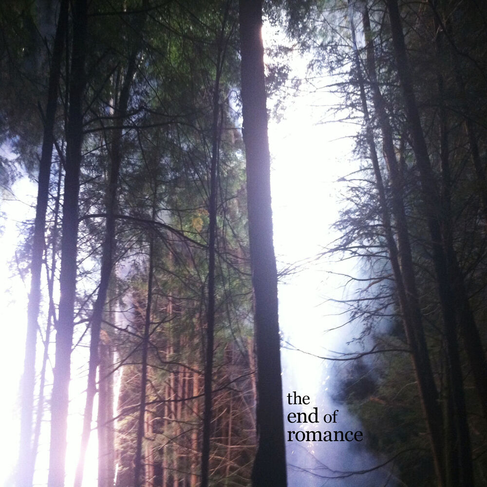 Picture of The End of Romance