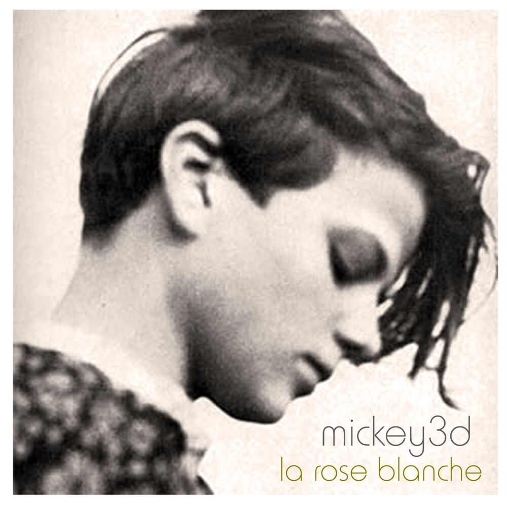Picture of La rose blanche