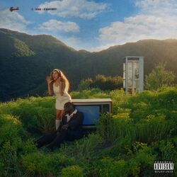 Cover of STANK ROSE