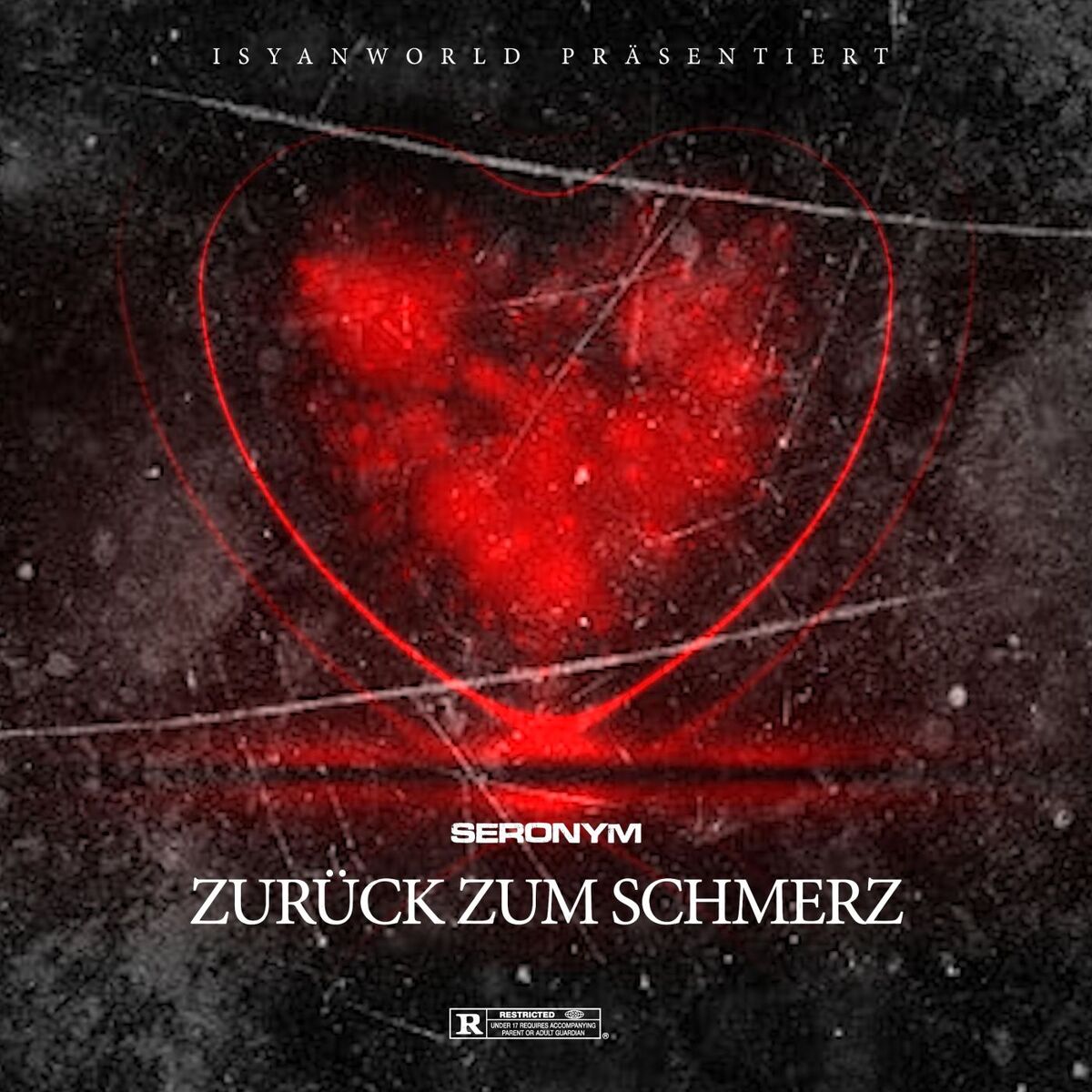 Album cover of Zurück zum Schmerz