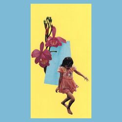 Cover of Footsteps