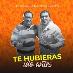Cover of Te Hubieras Ido Antes
