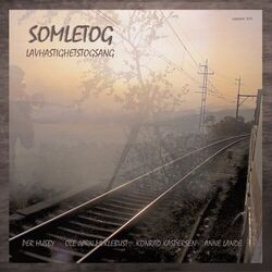 Cover of Somletog
