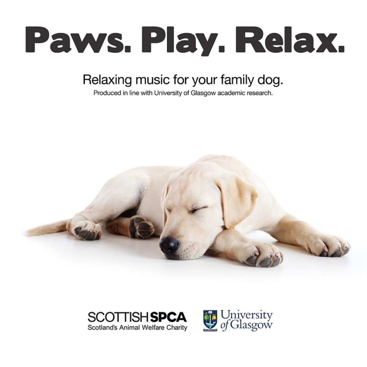 Album cover of Paws. Play. Relax.