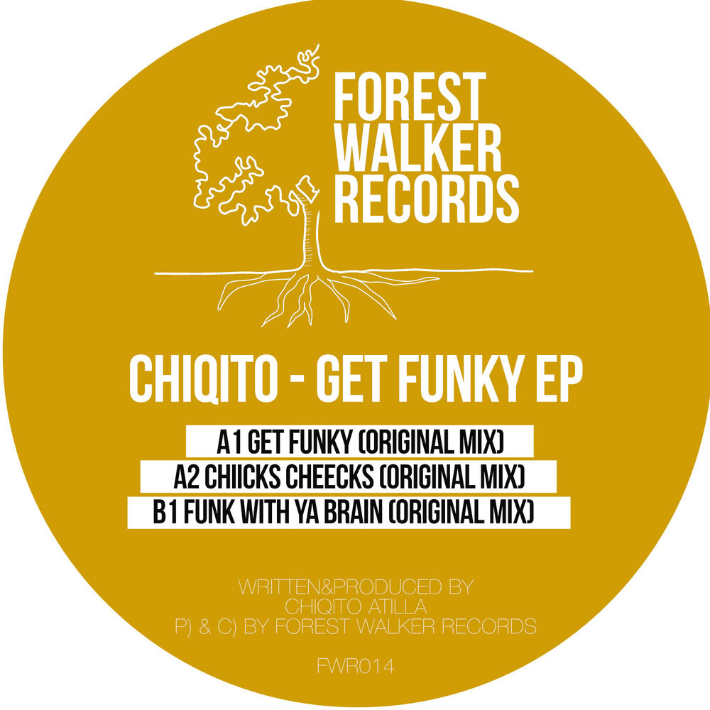 Picture of Get Funky EP