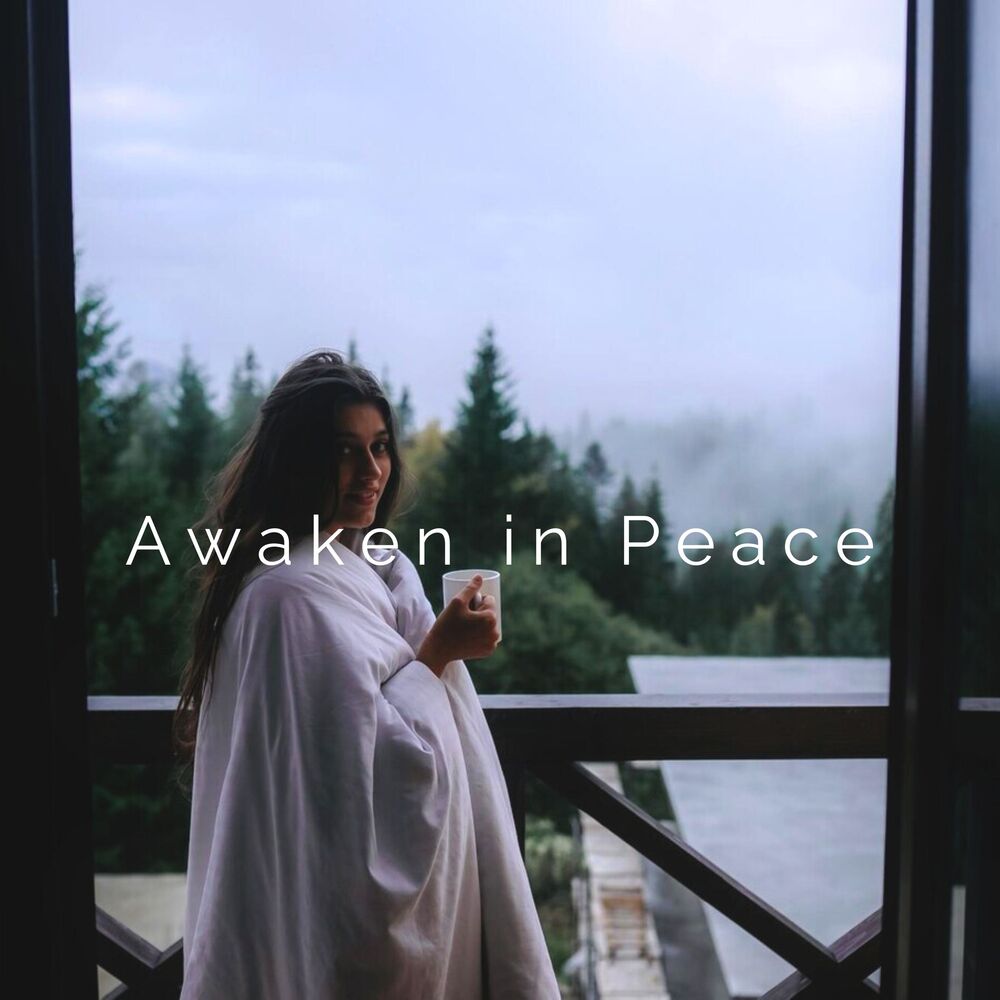 Picture of Awaken in Peace: Embrace the Silence