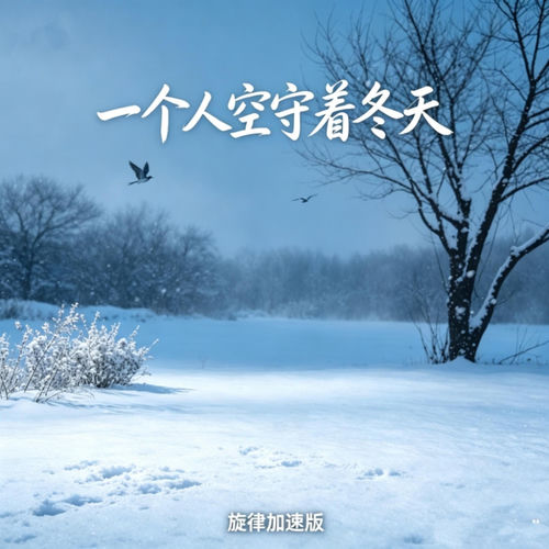 一个人空守着冬天 (旋律加速版)