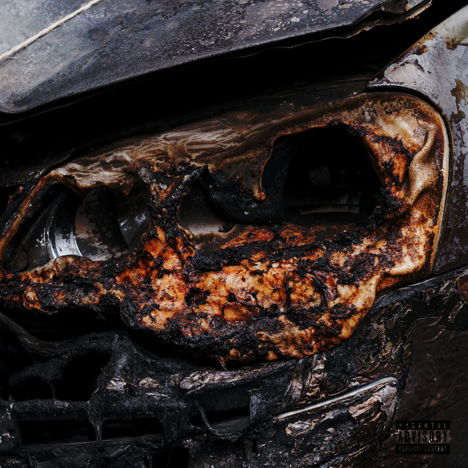 Album cover of Who was expecting this?