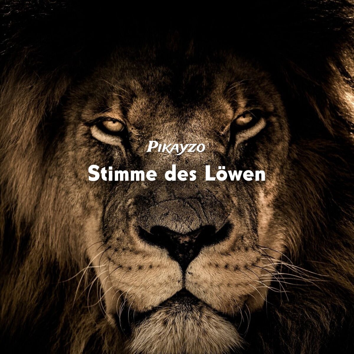 Album cover of Stimme des Löwen