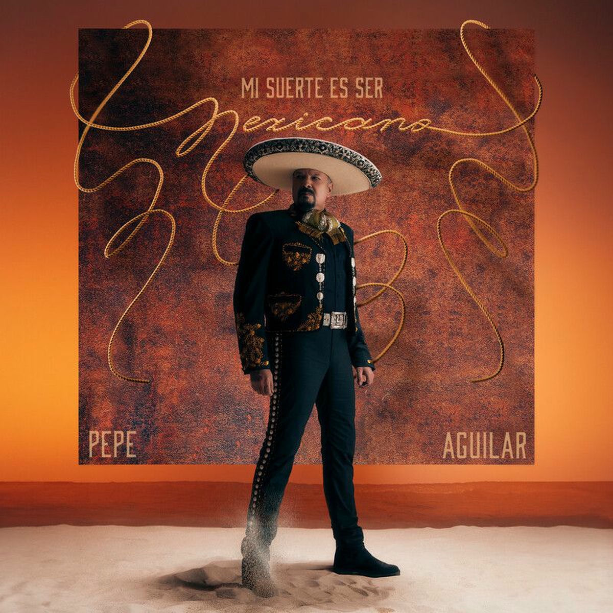 Album cover of Vamos Tarde