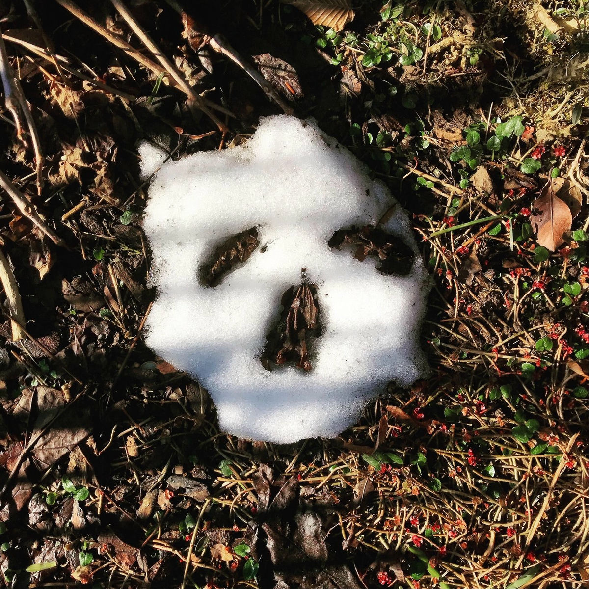 Album cover of Totechopf